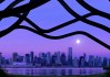 世界体操创新训练法：心理训练成为新趋势，世界体操技巧冠军