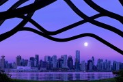 世界体操创新训练法：心理训练成为新趋势，世界体操技巧冠军