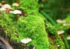 世界举重康复导师下沉项目扩展至县级俱乐部，世界举重选手