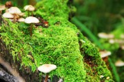世界举重康复导师下沉项目扩展至县级俱乐部，世界举重选手