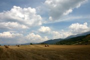 2026年世界体操锦标赛女子个人全能冠军易主 新人一战封神，2020年世界体操锦标赛女子个人全能决赛
